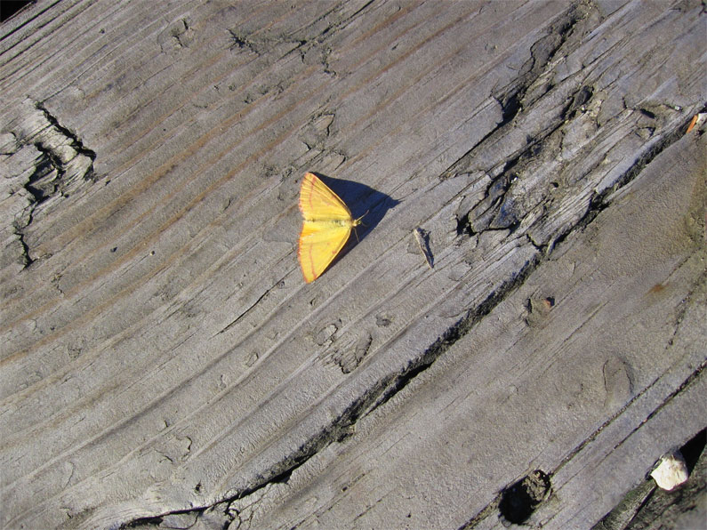 IMG_0743small.jpg